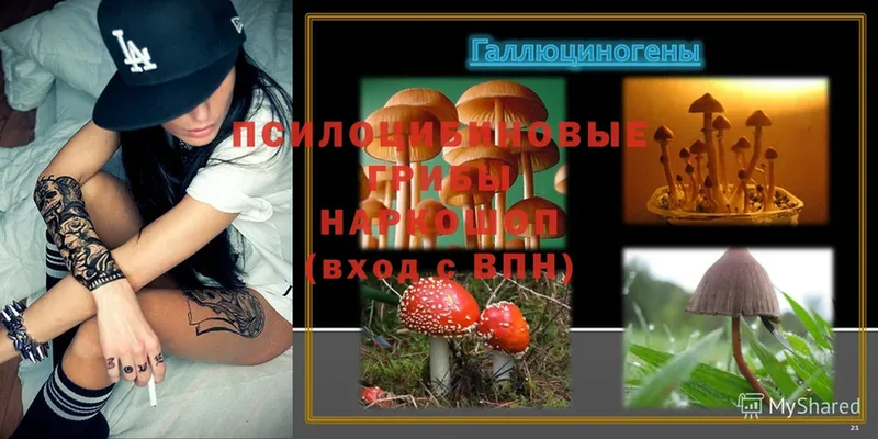 Галлюциногенные грибы Psilocybine cubensis  купить наркотики цена  Бутурлиновка 